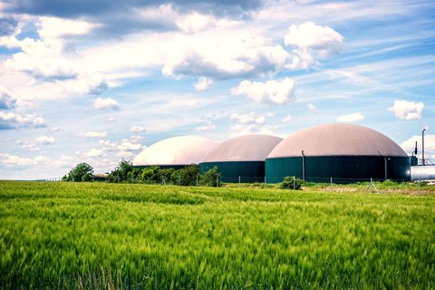 © iStock-1153197188/Animaflora Biogas Tanks in grüner Landschaft
